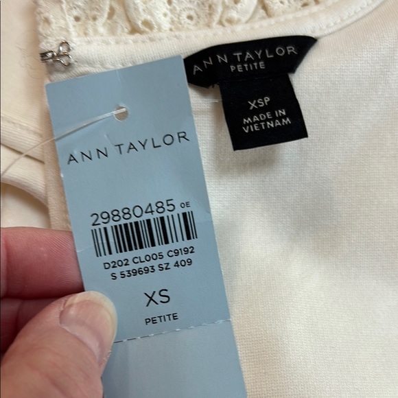 Elegant Cream Lace Trim Top - Picture 6 of 7